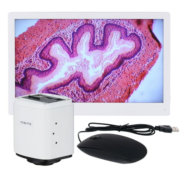 AmScope 1080p 60fps HDMI Microscope Camera + HD Monitor New