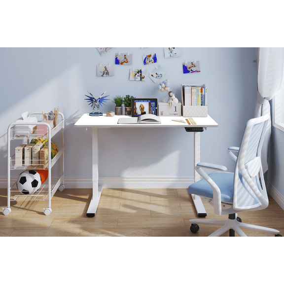 EBQOSK Electric Standing Desk Dual Motor Adjustable Height Desk Home Office Computer Workstation Sit Stand up Desk, 48 x 24 Inches White