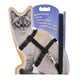 thumbnail image 2 of Correas para gatos: paquete de 2 correas largas de nailon para mascotas, correas para caminar duraderas a prueba de escapes, fácil control fuera de la correa para gatos Namotu WMPH-848, 2 of 7