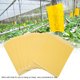 thumbnail image 4 of Tablero De Pegamento Para Mosquitos, Trampas Para Plagas, Atrapasueños, Ecológico, Duradero, Amarillo, 50 Uds., 4 of 7