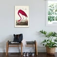 thumbnail image 3 of Art.com Pl 431 American Flamingo Stretched Canvas Print Wall Art by John James Audubon, 24" x 36", 3 of 4