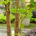 thumbnail image 6 of Large Capacity Automatic Bird Feeders With Smarted Timers Spirals Suction Cup for Garden/Yard Decoration, 6 of 9
