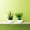 Green, variant on 2Pcs Set Artificial Potted Plants Plants Small Potted Faux Green Decorative With Plastic White Pot For Home Decor