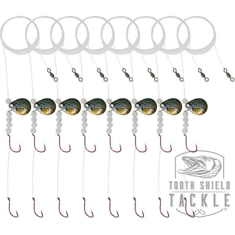 Tooth Shield Tackle 8 Pack Walleye Crawler Harness Spinner Rig #2 Live Series Colorado Blade (Crappie)