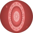 thumbnail image 1 of Ahgly Tapis d'Intérieur Lavable en Machine Carré Rouge, 3 Pieds Carré, 1 of 7