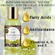 thumbnail image 3 of 100% Pure Grapeseed Oil – Lightweight, Fast-Absorbing Oil for Skin & Hair Care | 3 packs by LatherGreen, 3 of 5