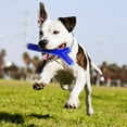 thumbnail image 3 of Baton Nerf Dog TPR beurre arachide 25cm, 3 of 4