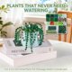 thumbnail image 3 of Kit de plantas con cuentas XHYMIA, cuentas de vidrio verde para suculentas, 3 of 7