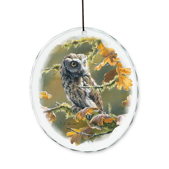 Autumn Oak - Screech Owl