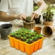 thumbnail image 1 of Aparatos de cocina, Accesorios de cocina, Bandeja para sembrar semillas, Kit para sembrar semillas, Bandejas para sembrar semillas, Kit y base para sembrar plantas, Mini invernadero, Kit de germinació, 1 of 8