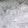 thumbnail image 3 of Maxx Ice Modular Ice Machine, 30"W, 460 lbs, dés de Glaçons Complets, et Bac de Rangement, 30"W, 400 lbs, en Acier Inoxydable, 3 of 7