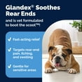 thumbnail image 5 of Vetnique Glandex Medicated Anal Gland Anti-Itch Spray for Dogs with Hydrocortisone, 4 oz, 5 of 12