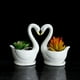 thumbnail image 5 of Maceta Blanca, 5 of 7