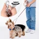 thumbnail image 2 of Cuerda Doble De Metal Para Correa De Perro, Cadena De Per..., 2 of 8