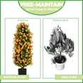 thumbnail image 2 of Bibana 37" 2 Packs Orange Artificial Plum Blossom Tree, Fake Floral Plant Tree in Pot, Faux Potted Decorative Topiary Plant, Cement Filled Flower Trees for Modern Home Office Indoor Outdoor, 2 of 6