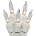 thumbnail image 1 of Vickerman X9WT501LED 50Lt LED Blanc Chaud Dura Light, Ensemble de Connexion de Fil Blanc - Espacement de 9 Po, 1 of 3