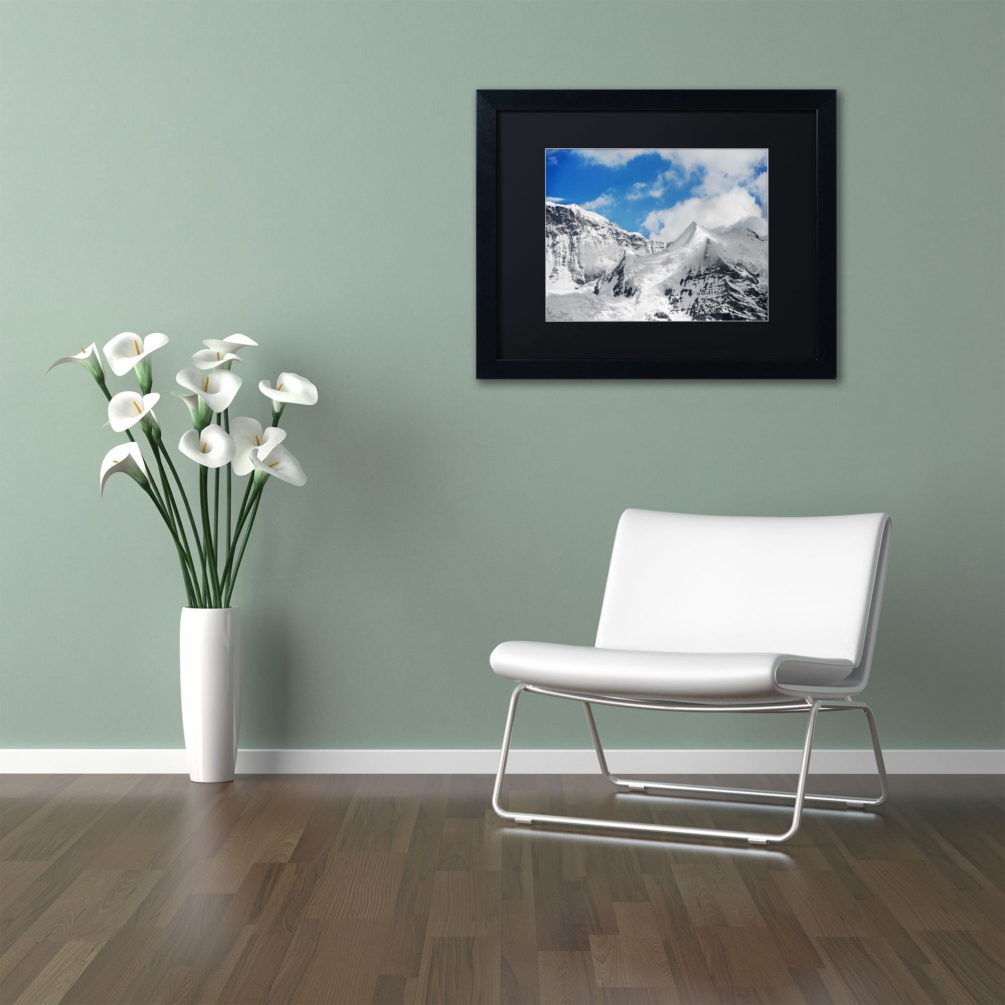 Trademark Fine Art "Ethereal" Canvas Art by Philippe Sainte-Laudy, Black Matte, Black Frame