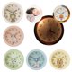 thumbnail image 2 of Reloj despertador para niños sin tictac, reloj despertador redondo con luz de dibujos animados para niños y niñas, reloj despertador de viaje, reloj despertador para estudiantes BANYUO Hogar, 2 of 2