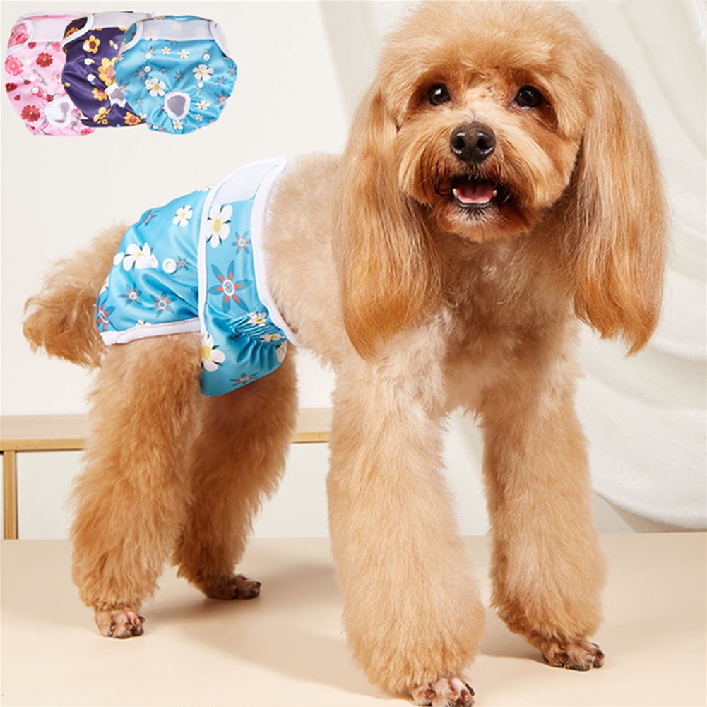 Dog panties for dogs in heat online