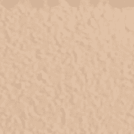 20 Ivory