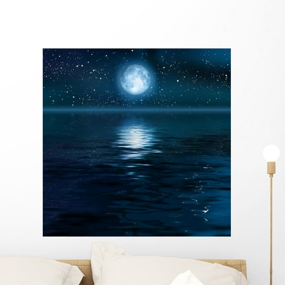 Moon Wall Mural by Wallmonkeys Peel and Stick Graphic (24 in H x 24 in W) WM76659