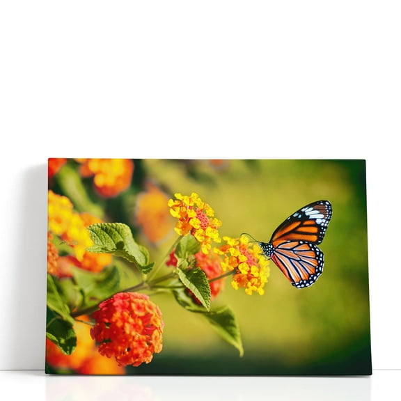 Monarch Butterfly on Lantana Flower - Wrapped Canvas Print Wall Art | 18" W x 12" H