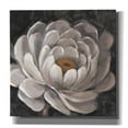 thumbnail image 1 of Epic Graffiti 'Nuetral Fleur II' by Tim O'Toole, Canvas Wall Art, 18"x18", 1 of 2