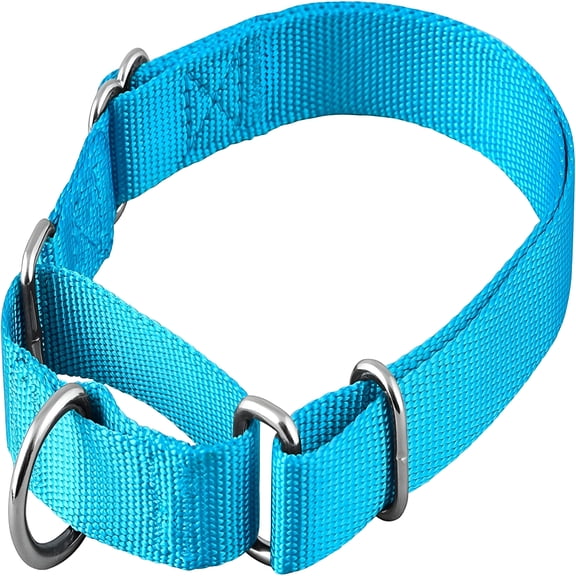 GASTROPOD Martingale Dog Collar, Adjustable Nylon No-Slip Pet Harness for Small Dogs & Puppies, Breathable Walking Gear, Sky Blue (Small)