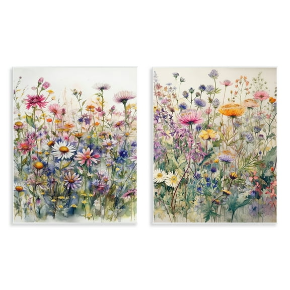 Stupell Industries Watercolor Daisy & Aster Field Plants & Flowers Painting Unframed Art Print Wall Art, 11 x 14, Set of 2