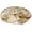 Style two, variant on Yihuala Cover Blanket Round Polyester Pancake Casual Blankets Cloak Blanket for Home Bedroom Dormitory Throw Blanket