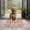 Pioneer Flower Floral-2, variant on Pioneer Flower Floral Print Pattern Door Rugs,Washable Non Slip Door Mats Indoor,Decorative Door Mats,Entry Mat Indoor for Entrance,Bedroom,Kitchen,Bathroom,17"x30"