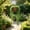 Green, variant on 5 Pack Artificial Hanging Willow Vines, Cascading Plastic Greenery, 37.4 in Each, Purple, for Wall Balcony Wedding Arch Patio and Garden Decor
