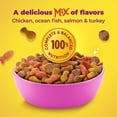 thumbnail image 6 of Meow Mix Kitten Li’l Nibbles Dry Cat Food for Kittens, 14.2 lb Bag, 6 of 10