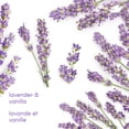 thumbnail image 4 of Dove Aluminum-Free Deodorant 72H Protection Lavender & Vanilla, 74 g, 4 of 7