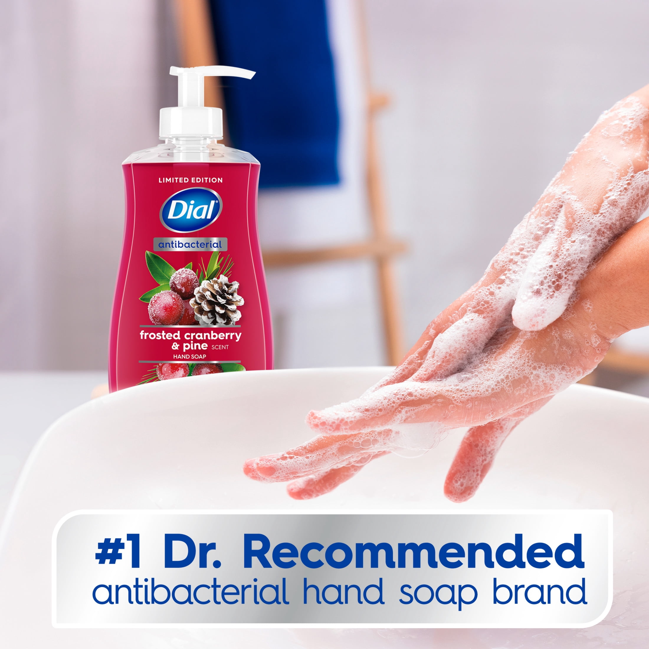 Dial Antibacterial Limited Edition Frosted Cranberry & Pine Liquid Hand Soap, 11 oz