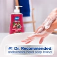thumbnail image 5 of Dial Antibacterial Limited Edition Frosted Cranberry & Pine Liquid Hand Soap, 11 oz, 5 of 10