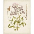 thumbnail image 3 of Unknown 12x14 Black Modern Framed Museum Art Print Titled - Vintage Flowering Trees I, 3 of 5