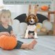 thumbnail image 4 of Dog Bat Costume, Halloween Pet Costume Bat Wings Cosplay Dog Costume Cat Costume For Party (m) Zekai, 4 of 5