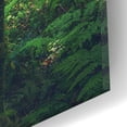 thumbnail image 3 of Epic Art 'Jungle' by Epic Portfolio, Acrylic Glass Wall Art, 16"x12", 3 of 8
