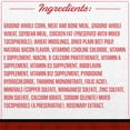 thumbnail image 4 of Ol' Roy Complete Nutrition T-Bone and Bacon Flavor Dry Dog Food, 46 lb Bag, 4 of 9