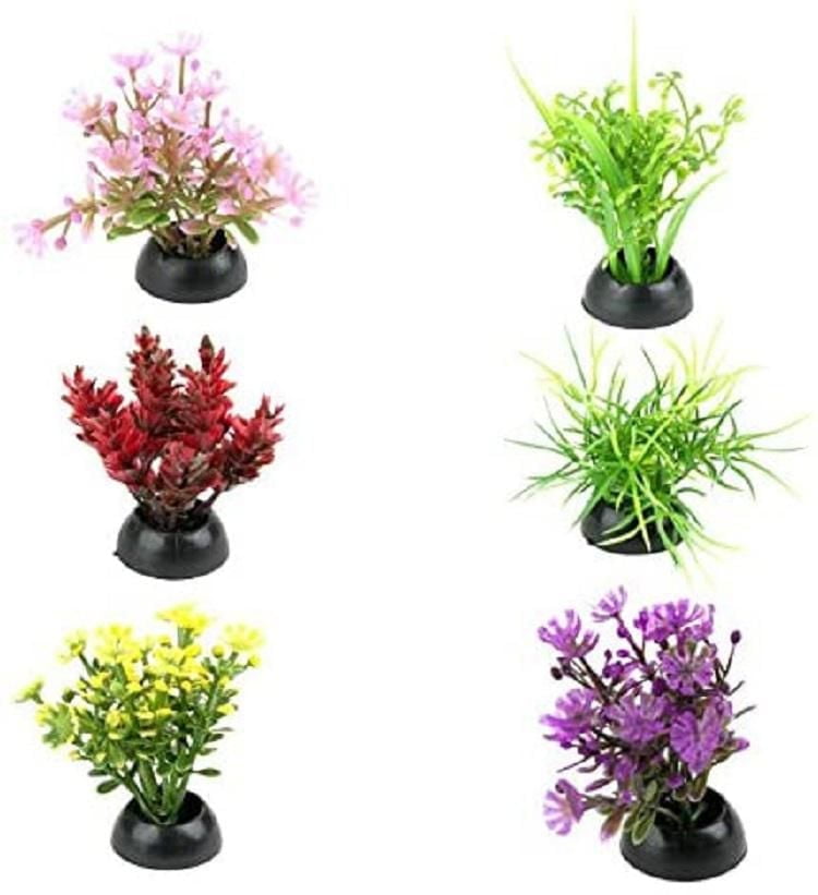 Penn Plax Aqua-Plantes D'Aquarium Décorations