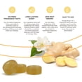 thumbnail image 3 of Belle Aroma® No-Mess Fragrance Tarts® - White Tea & Ginger, 6 count, 1 pack, 3 of 5