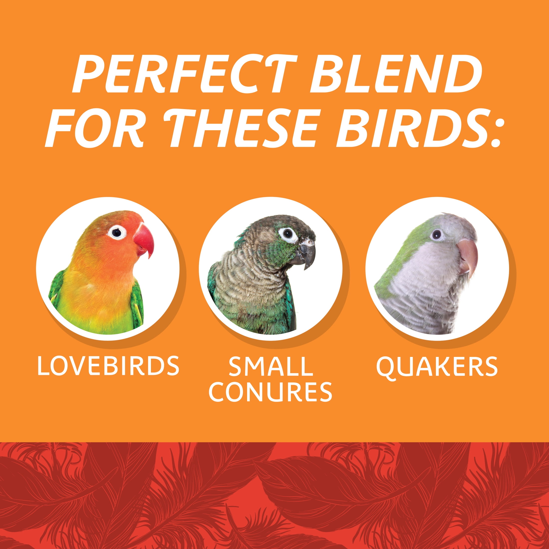 (4 pack) Pennington Medium Bird Blend Bird Food for Cockatiels, Love Birds; 3 lb Bag