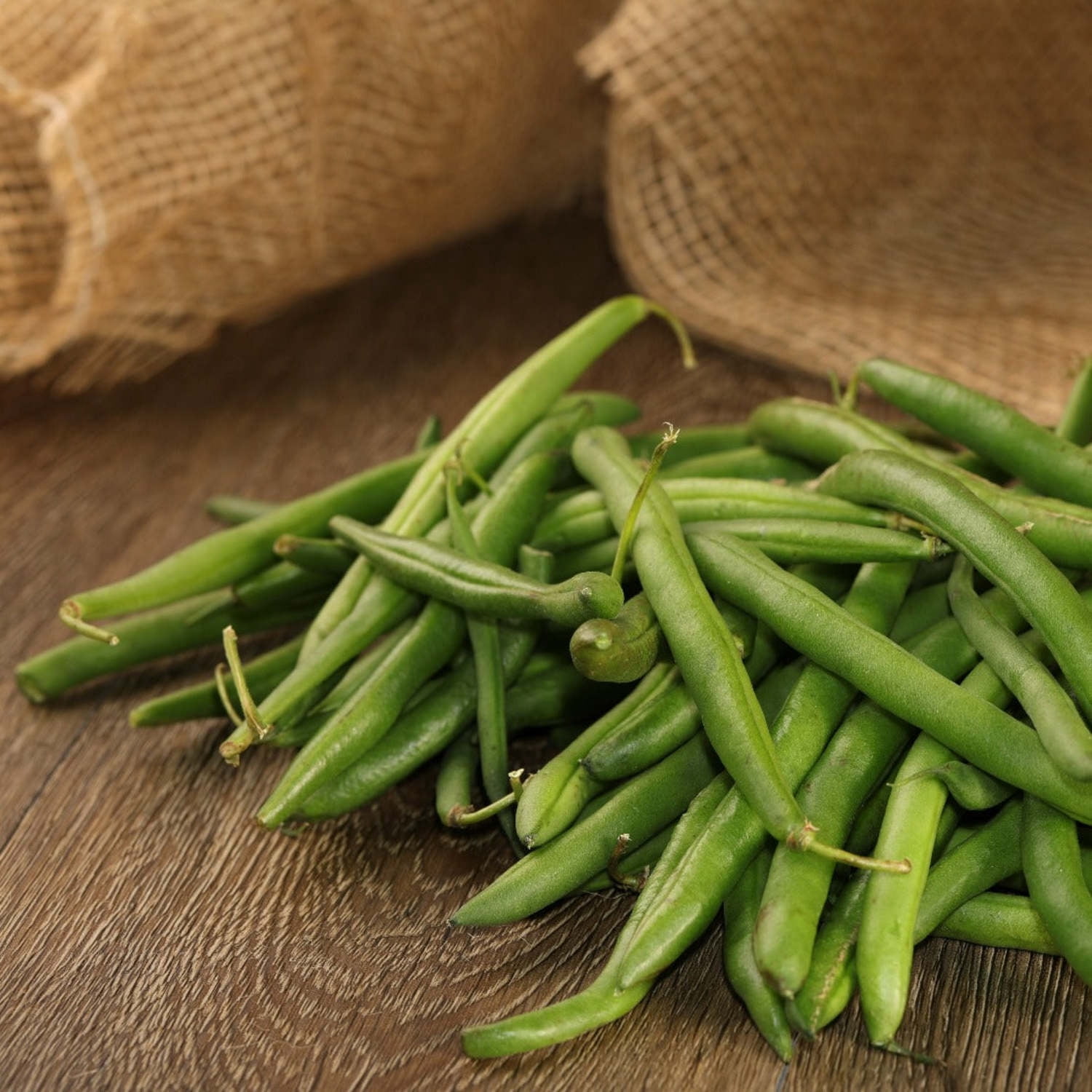 Proven Winners 4" Blue Lake Green Beans Live Plant in 4.25" Pot (4 Count)