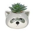 thumbnail image 1 of Artificial Succulent Plant in Raccoon Planter, 1 of 4