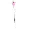 thumbnail image 2 of Plantas en miniatura CUTICAT 12 jarrones para decoración rosa, 2 of 7