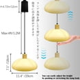 thumbnail image 4 of FSLiving Adjustable Height J Type Track Light Pendants Natural Wood E26 Socket Pumpkin Chandeliers Milk White Glass Shade 4 Ft Cord, Dimmable for Kitchen Island Planting Customizable, 4 of 7