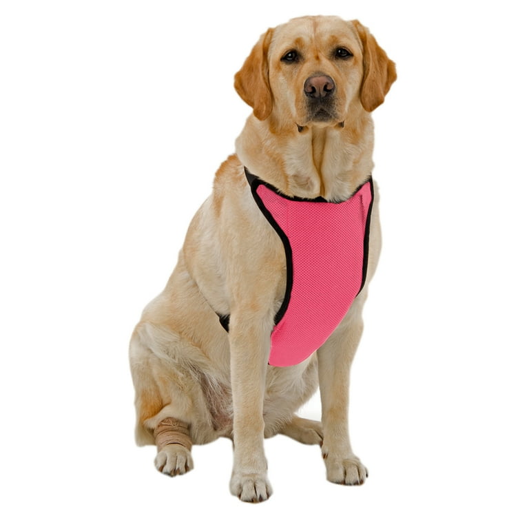 Kumfy Tailz Warming/Cooling Pet Dog Harness Medium, Pink