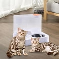 thumbnail image 1 of Comedero para gatos y dispensador de agua, estación de alimentación para mascotas, cuenco de comida, platos para perros y gatos, comedero y bebedero 2 Con cuenco de acero, 1 of 10