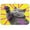 A Gray British Shorthair Cat, variant on Vzayyk 16'x18'Absorbent Dish Drying Mats For Kitchen Counter Coffee Machine Mat A Gray British Shorthair Cat